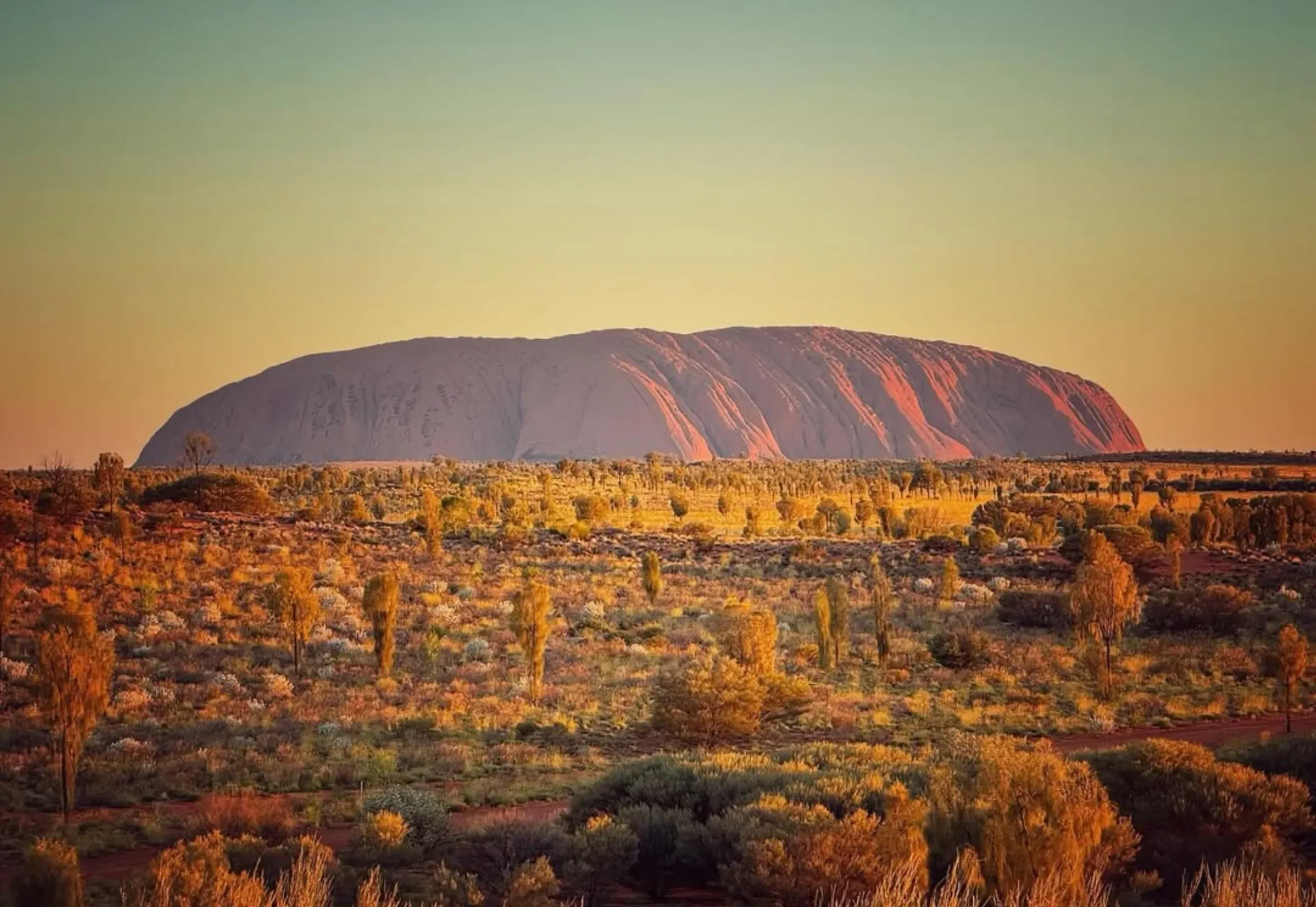 native gardens, Uluru