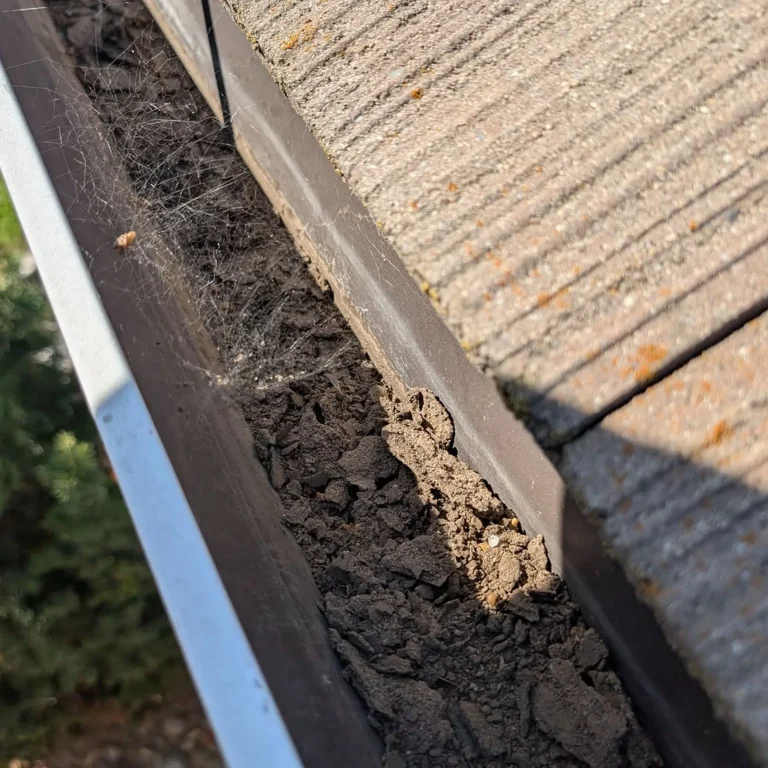 debris buildup in roof gutter
