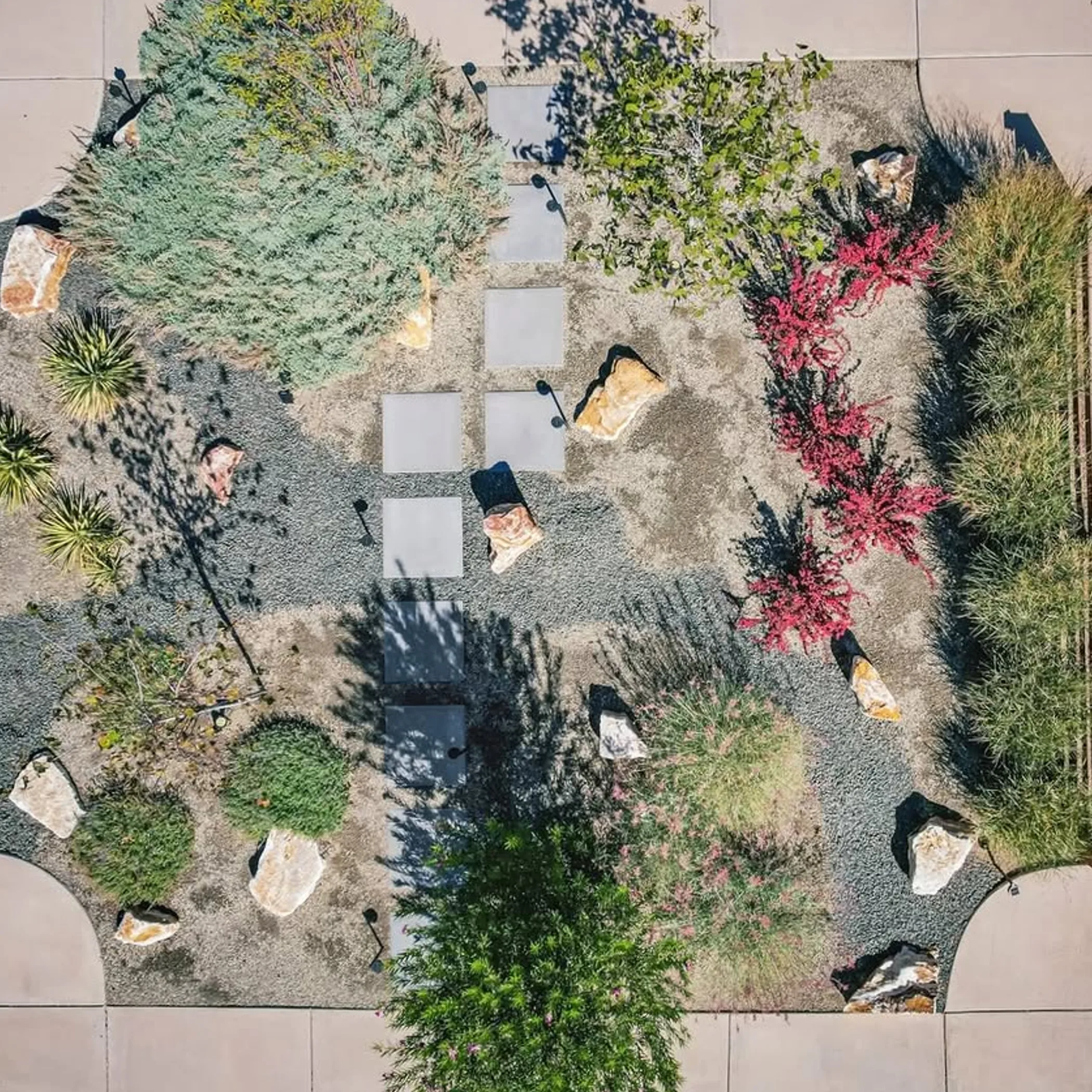low-water landscaped path with gravel and plants