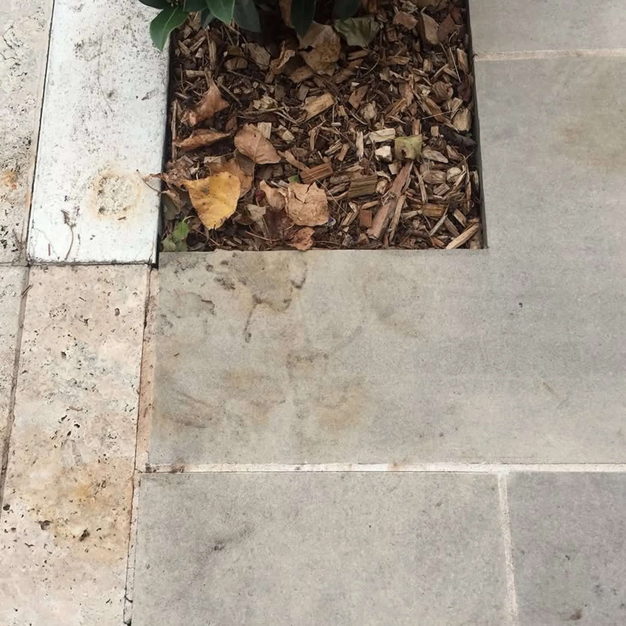 paving with autumn leaves